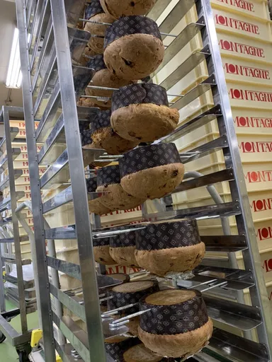 焼き上げたパネトーネを逆さに吊るす様子