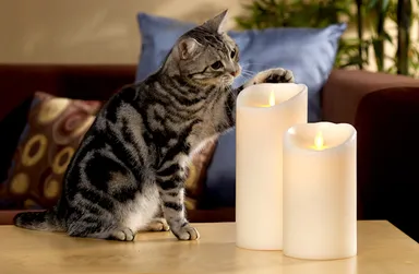 火を使わないので、ペットやお子様がいる家庭でも安心