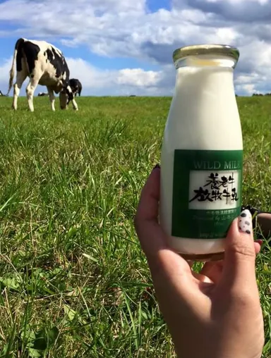 グラスフェッド牛乳