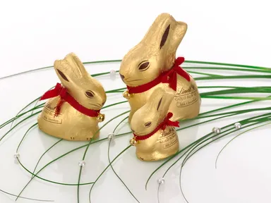 ゴールドバニー