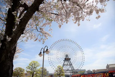 春のみなとみらいの様子2