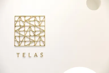 「TELAS(テラス)」