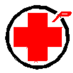 有限会社プラス化建・工法研究所