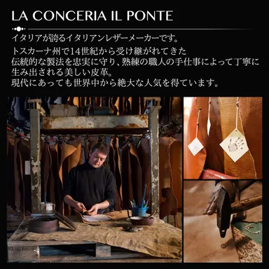 IL PONTE社説明