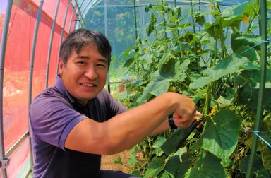 くわい農家高橋さん