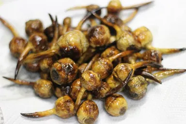 くわいの素揚げ