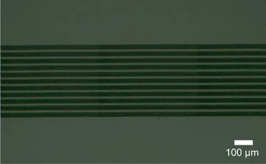 シリコン内部に作製した回折格子の赤外顕微鏡像