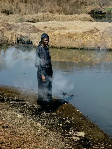 TROVE IMAGE VISUAL 5