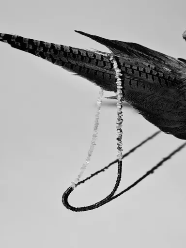 TROVE IMAGE VISUAL 8