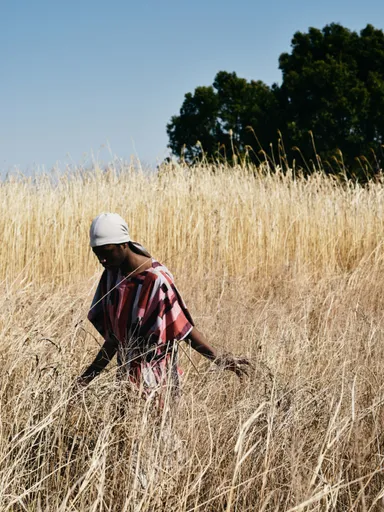 TROVE IMAGE VISUAL 9