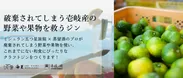 壱岐の蔵酒造 x 壱岐リトリート海里村上 コラボプロジェクト