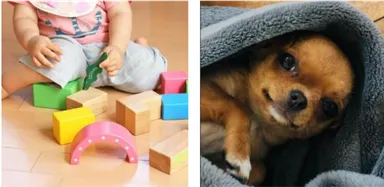 (1)赤ちゃんからお年寄りペットがいても安心