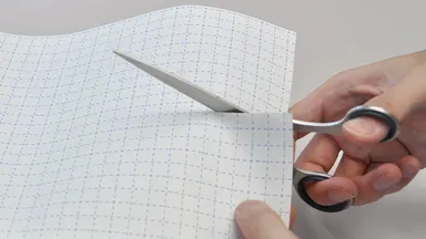 フリーカットイメージ