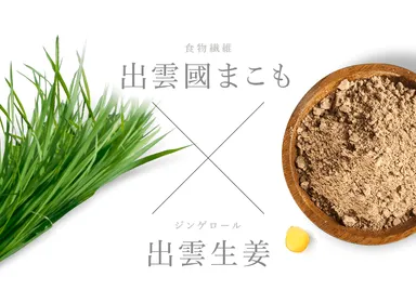 まこも生姜イメージ