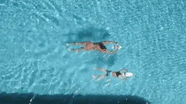 WhiteShark Tini_用途