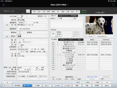 プロフィール画面(iPad)