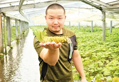 藤屋わさび農園　4代目：望月 啓市