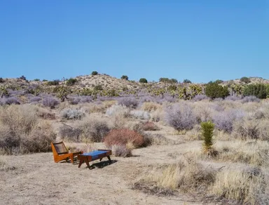 ■左からカンガルーチェア　￥572,000/センターテーブル　￥462,000　Photo by Koki Sato
