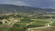 ワイン農場 画像