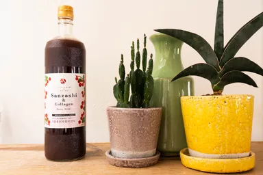 健やかな体内環境づくりを応援します