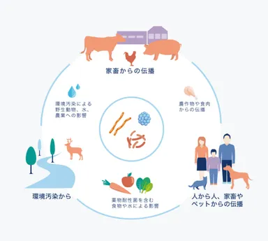 ワンヘルス画像