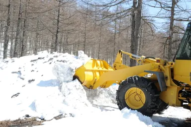 2020年4月　昨年度掘出作業(2)