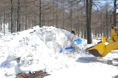 2020年4月　昨年度掘出作業(3)