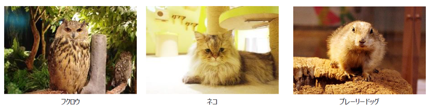 【MARK IS みなとみらい/新店舗情報】
2021年春、新たに8店舗が続々オープン