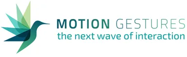 Motion Gestures