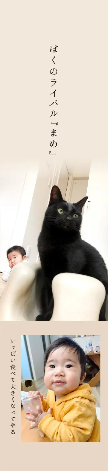 “サンプル”愛猫も一緒に