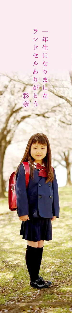 “サンプル”全身を入れたり