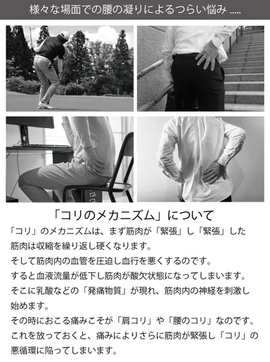 コリの説明画像