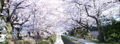 タイムラインカバー写真 例