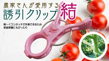 プロジェクト　メイン画像