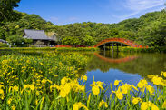 称名寺(神奈川県)の橋をイメージして作られています。