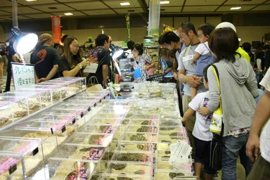 爬虫類も買える