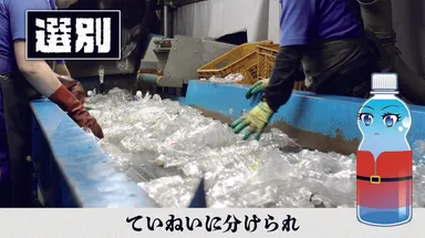 選別は大事です