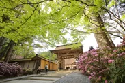 金剛峯寺　新緑 提供：（公社）和歌山県観光連盟