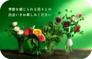 定期便イメージ