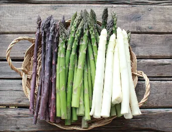 HOKKAIDO SNOW JEWELS