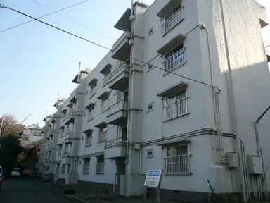 改修前：桜ヶ丘共同住宅(1954年竣工)