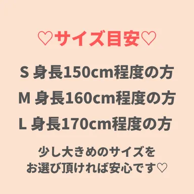 サイズ目安