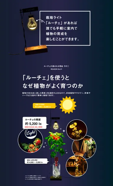 「ルーチェ」を使うとなぜ植物がそだつのか