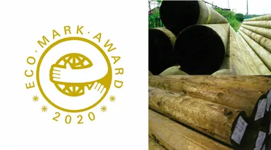 左：エコマークアワード2020ロゴ、右：環境パイル