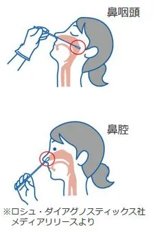 鼻腔からの検体採取イラスト