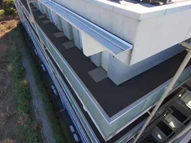 ドローン空撮画像