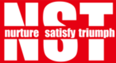 エヌエスティーのロゴ