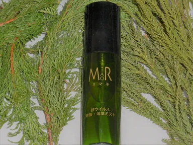 原料のヒノキ、スギ