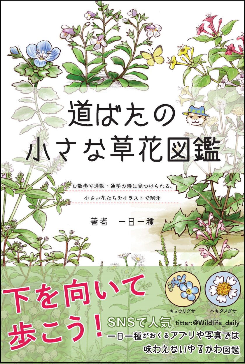 下を向いて歩こう 道ばたの小さな草花図鑑 新刊 21年4月13日発売 株式会社ブティック社のプレスリリース