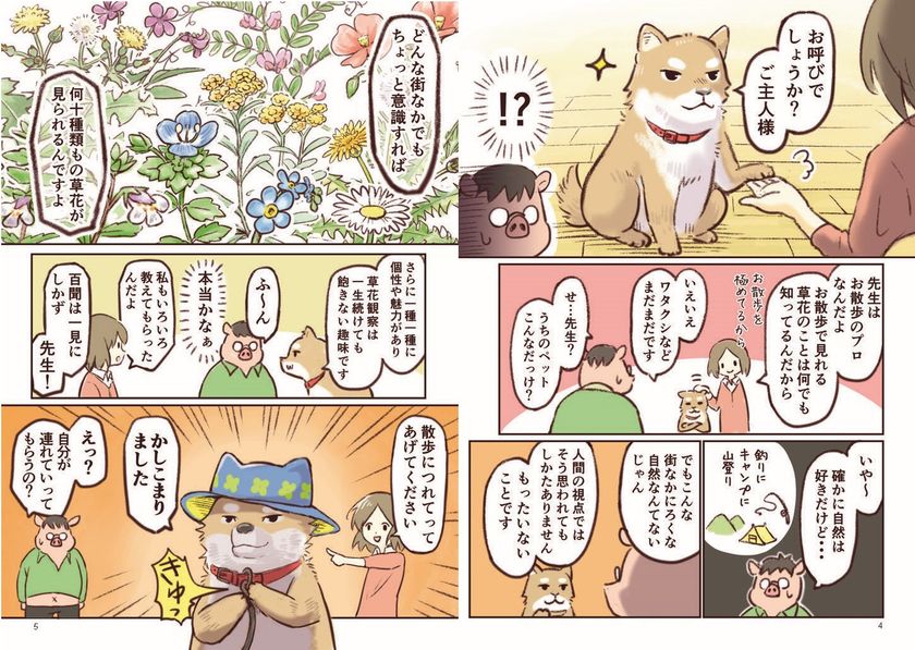 下を向いて歩こう 道ばたの小さな草花図鑑 新刊 21年4月13日発売 株式会社ブティック社のプレスリリース